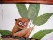 children_creations/smallanimal.jpg