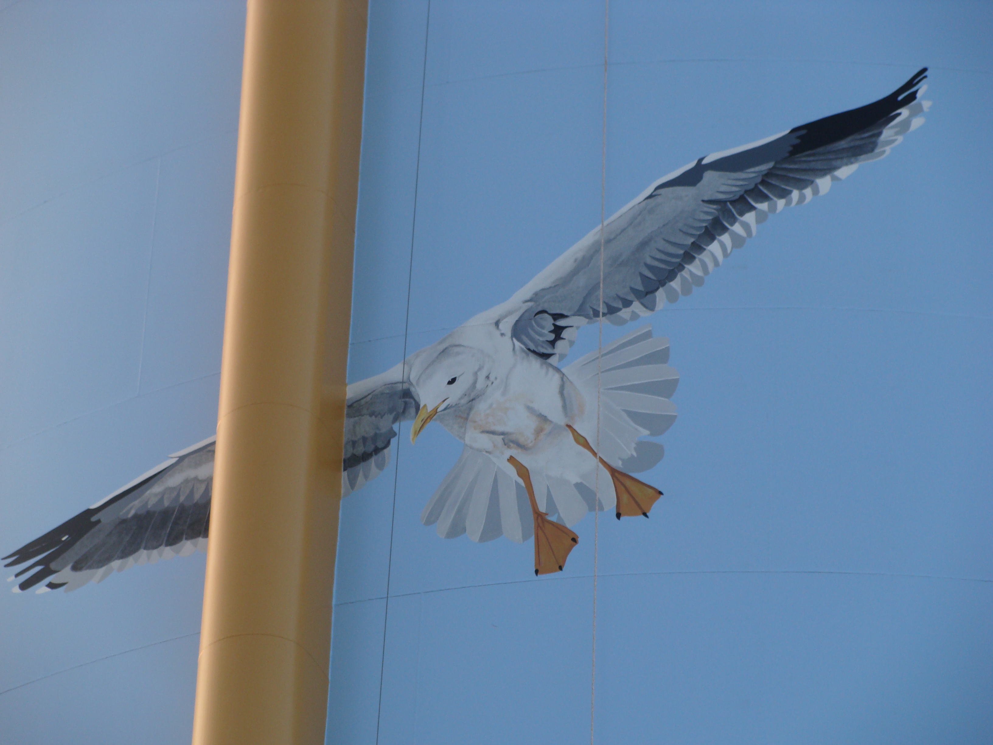 community/wt_seagull.JPG